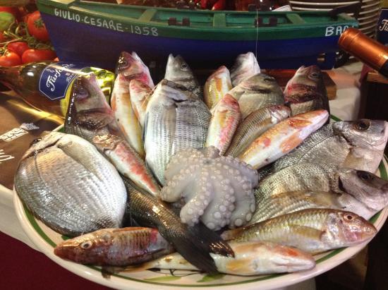 Trattoria Giulio Cesare